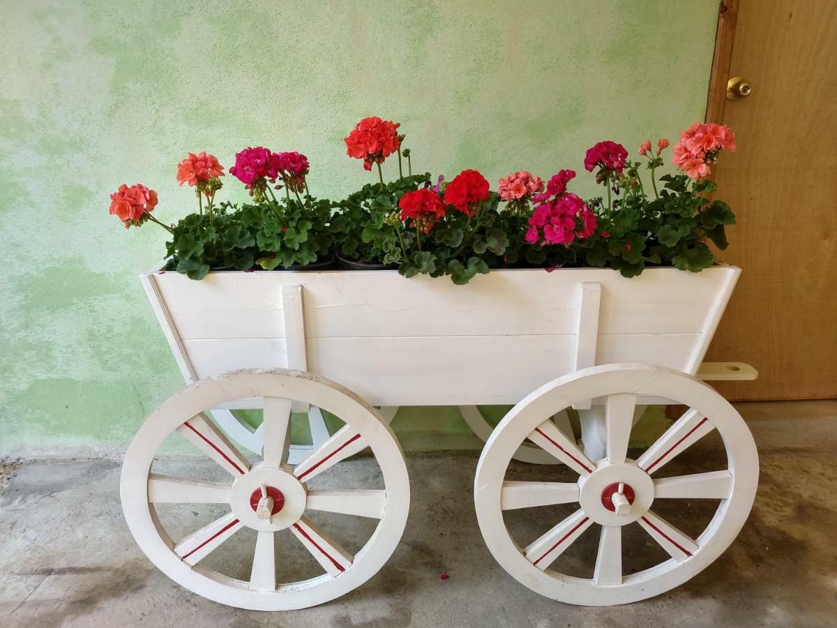 El Paraiso De Zacatlan Departamento Con Jardin, 11 Pax Dış mekan fotoğraf